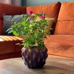 Keramični lonec Vintage 05.328.16